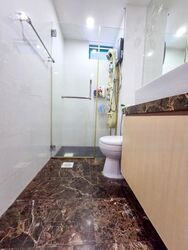Fortune Park (D19), Condominium #480970091